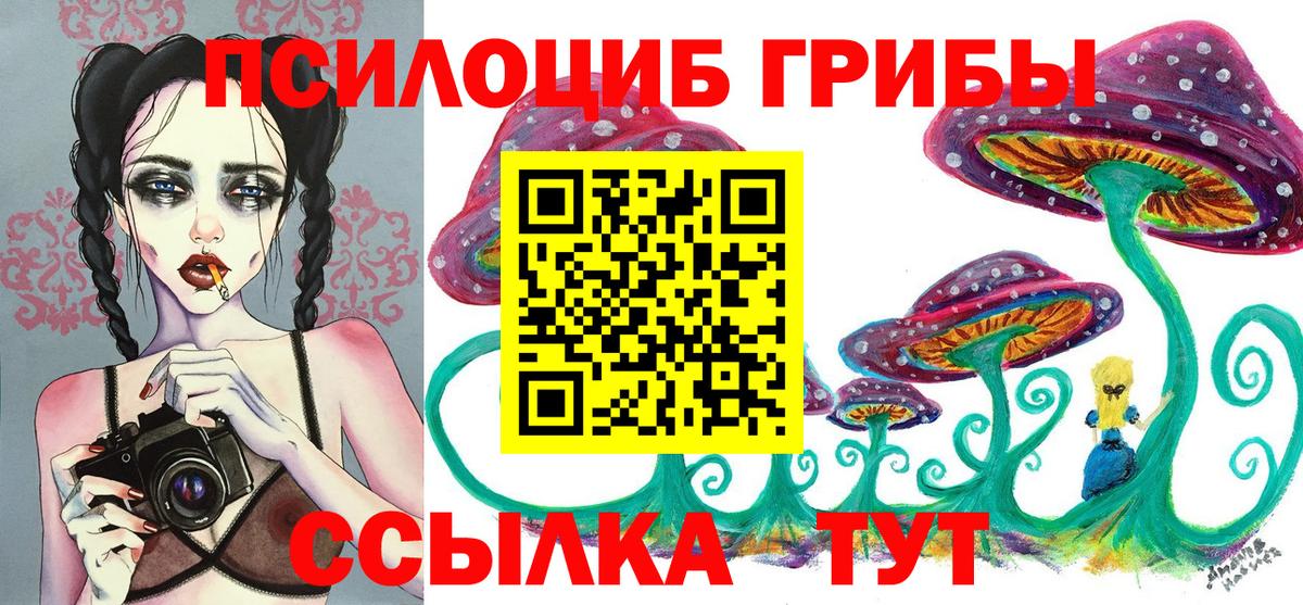 Псилоцибиновые грибы Magic Shrooms  Вход с VPN  Сунжа  Галлюциногенные грибы Psilocybine cubensis 